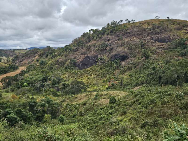 Sítio à Venda no bairro Zona Rural em Santa Bárbara do Monte Verde imagem 22