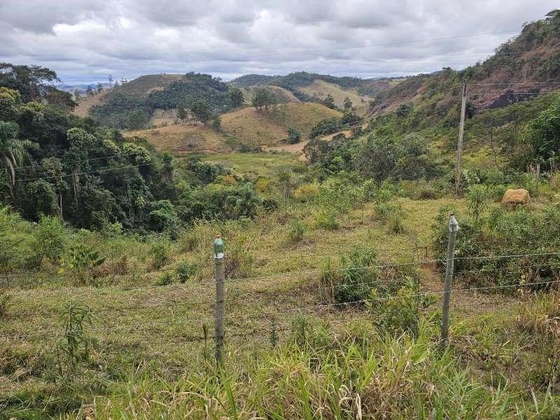 Sítio à Venda no bairro Zona Rural em Santa Bárbara do Monte Verde imagem 12