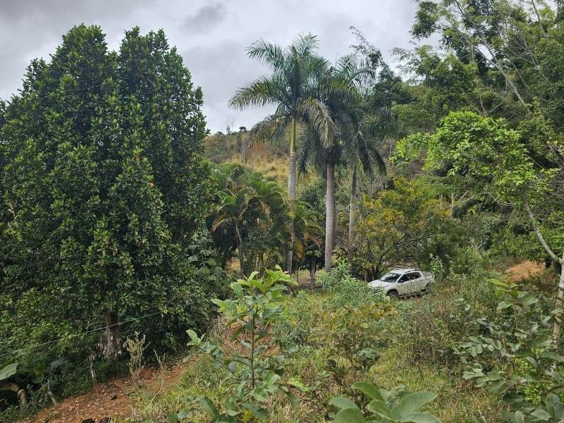 Sítio à Venda no bairro Zona Rural em Santa Bárbara do Monte Verde imagem 20