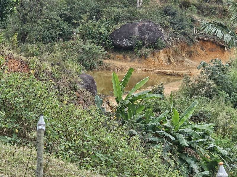 Sítio à Venda no bairro Zona Rural em Santa Bárbara do Monte Verde imagem 5
