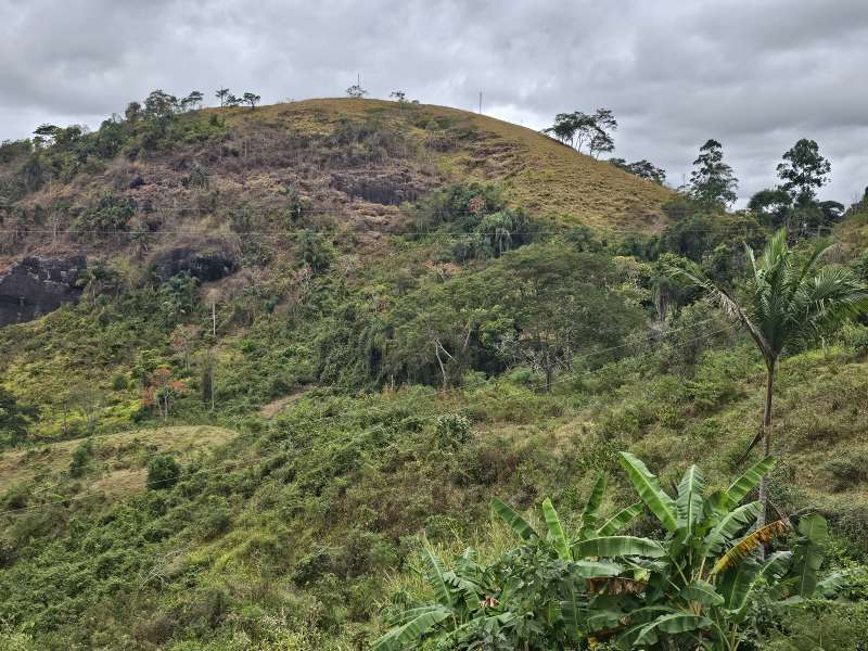 Sítio à Venda no bairro Zona Rural em Santa Bárbara do Monte Verde imagem 11