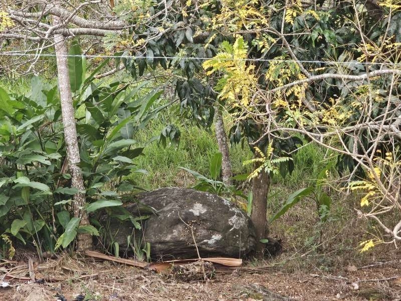 Sítio à Venda no bairro Zona Rural em Santa Bárbara do Monte Verde imagem 14