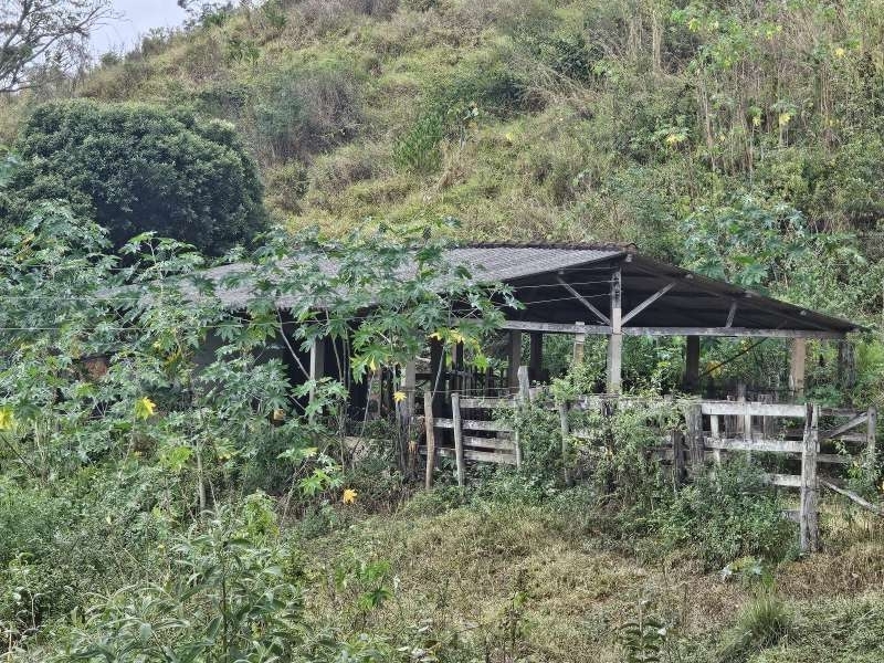 Sítio à Venda no bairro Zona Rural em Santa Bárbara do Monte Verde imagem 13