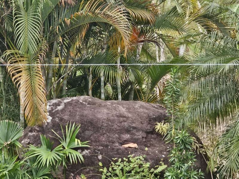 Sítio à Venda no bairro Zona Rural em Santa Bárbara do Monte Verde imagem 23