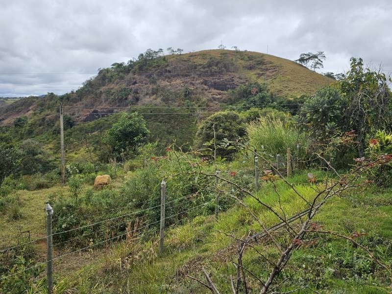 Sítio à Venda no bairro Zona Rural em Santa Bárbara do Monte Verde imagem 2