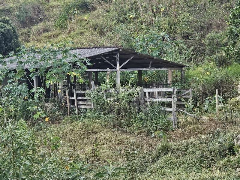 Sítio à Venda no bairro Zona Rural em Santa Bárbara do Monte Verde imagem 24