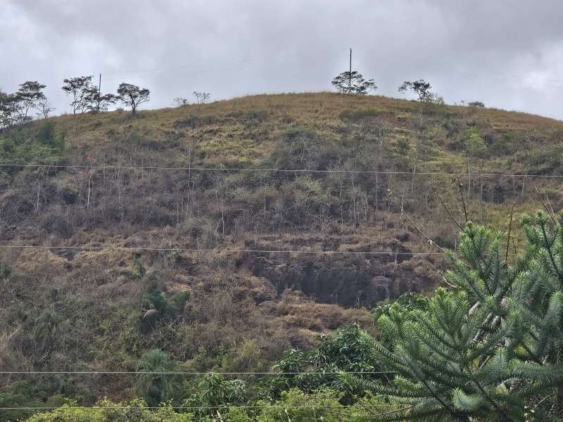 Sítio à Venda no bairro Zona Rural em Santa Bárbara do Monte Verde imagem 18