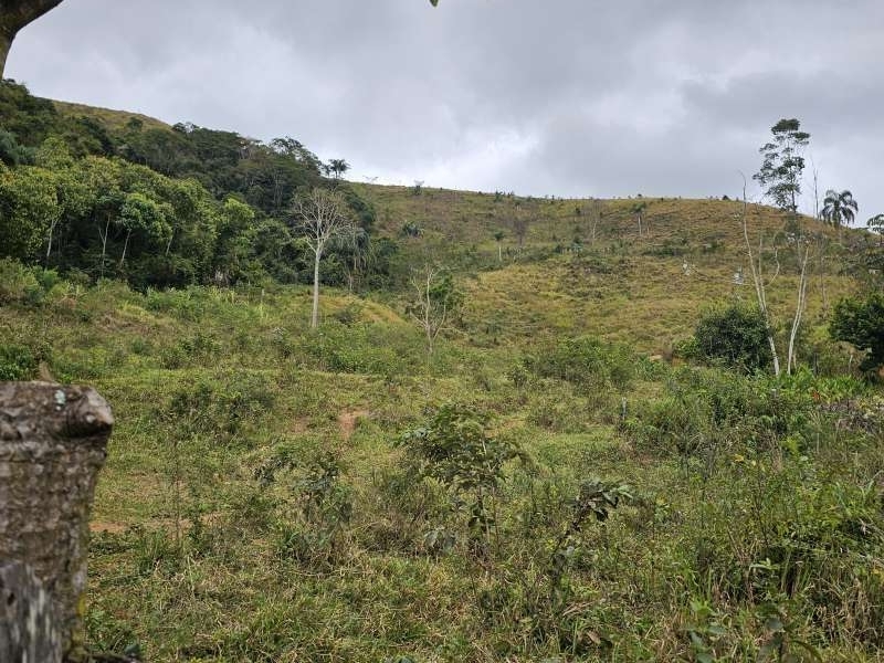 Sítio à Venda no bairro Zona Rural em Santa Bárbara do Monte Verde imagem 6