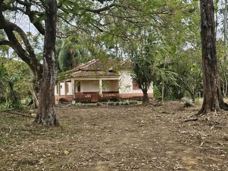 Fazenda à Venda no bairro BARREADO em Santa Bárbara do Monte Verde imagem 0