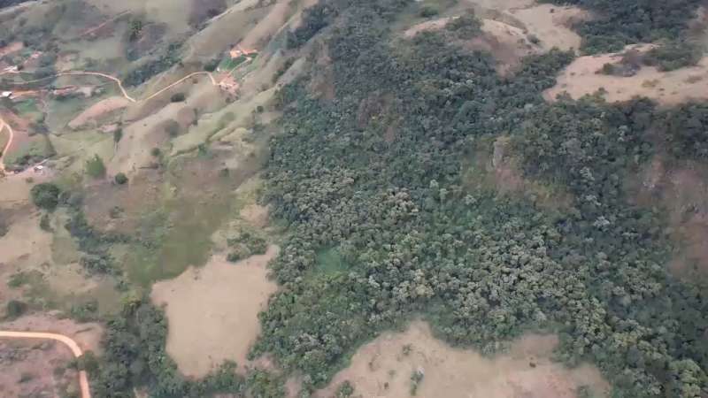 Fazenda à Venda no bairro BARREADO em Santa Bárbara do Monte Verde imagem 16