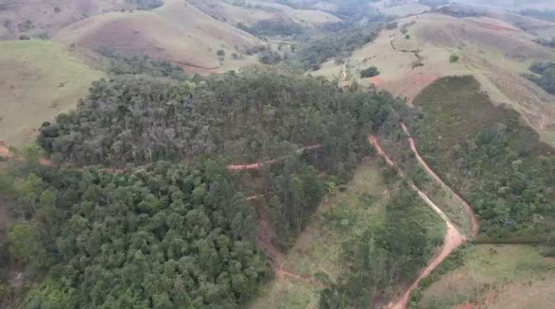 Fazenda à Venda no bairro São Francisco em Valença imagem 46