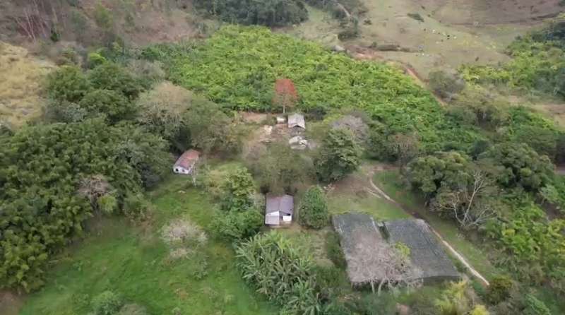 Fazenda à Venda no bairro São Francisco em Valença imagem 15