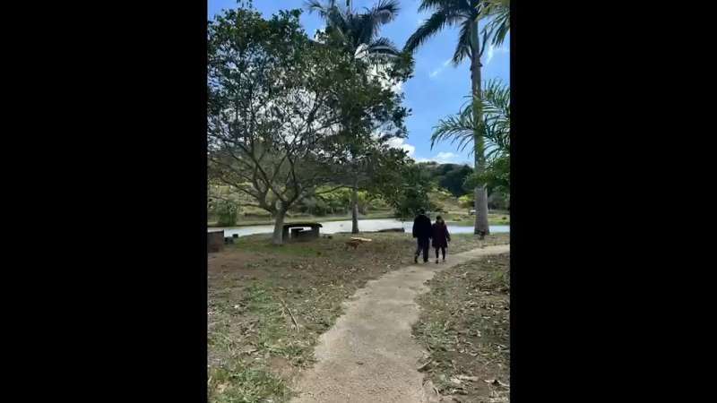 Fazenda à Venda no bairro São Francisco em Valença imagem 51