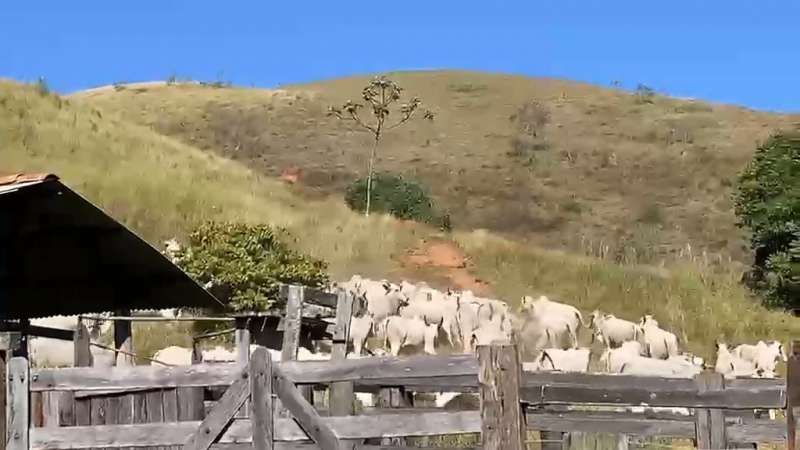 Fazenda à Venda no bairro São Francisco em Valença imagem 86