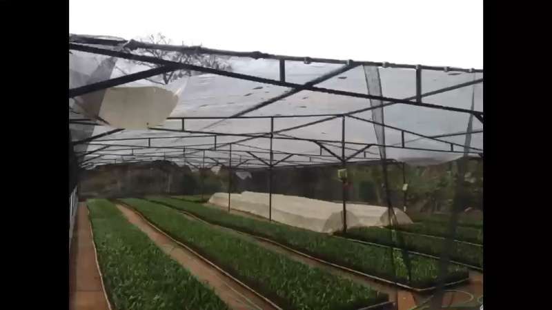 Fazenda à Venda no bairro São Francisco em Valença imagem 83