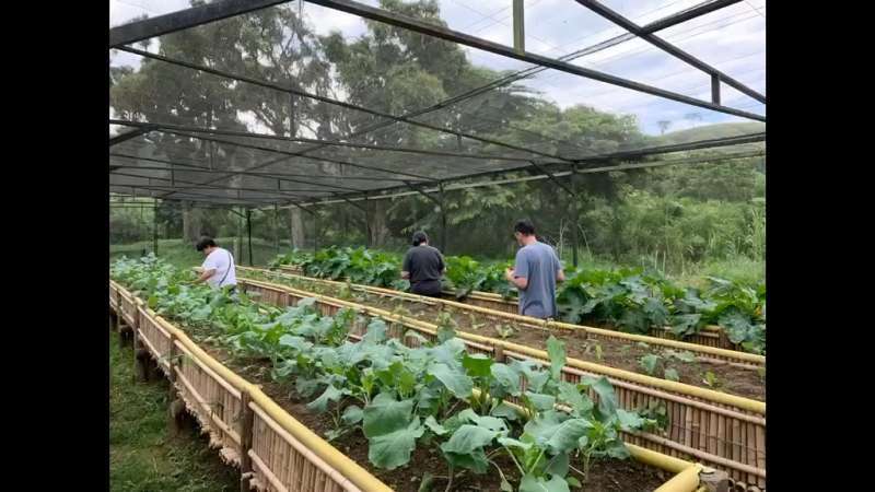 Fazenda à Venda no bairro São Francisco em Valença imagem 75