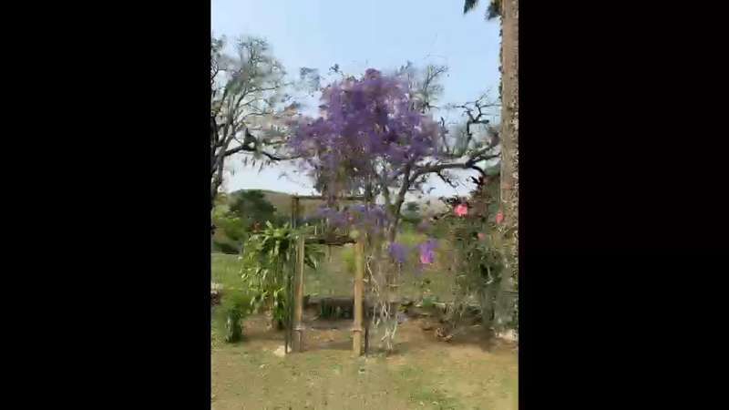 Fazenda à Venda no bairro São Francisco em Valença imagem 72