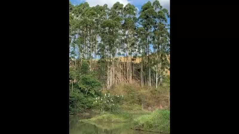 Fazenda à Venda no bairro São Francisco em Valença imagem 53