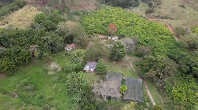Fazenda à Venda no bairro São Francisco em Valença imagem 22