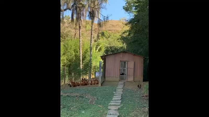 Fazenda à Venda no bairro São Francisco em Valença imagem 87