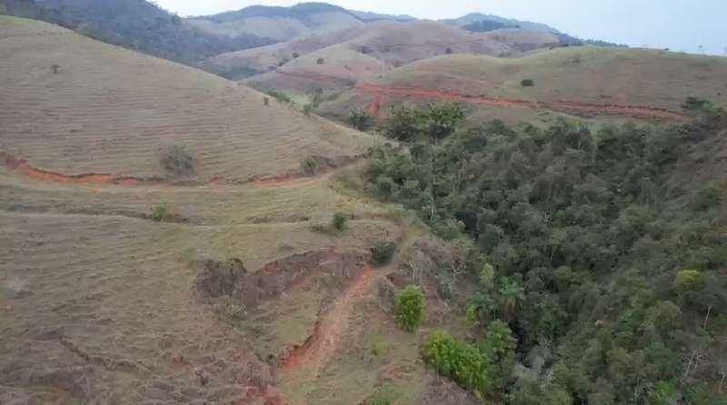 Fazenda à Venda no bairro São Francisco em Valença imagem 10