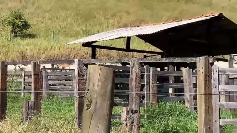 Fazenda à Venda no bairro São Francisco em Valença imagem 64