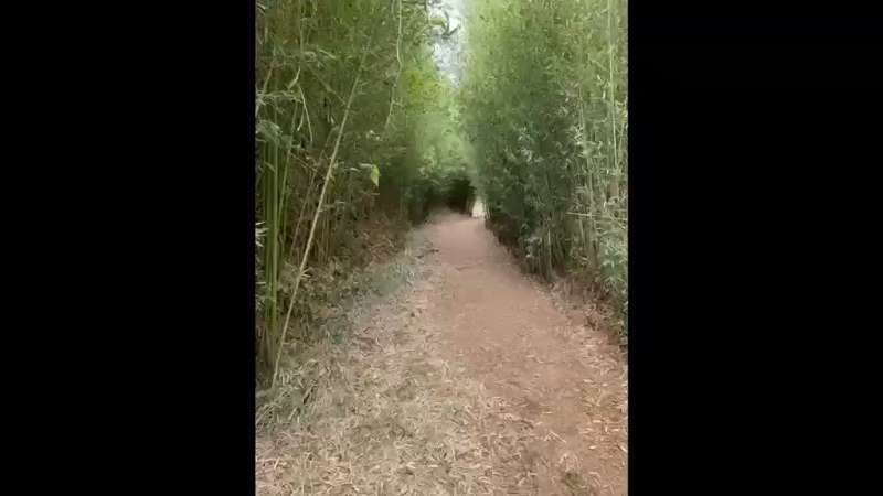 Fazenda à Venda no bairro São Francisco em Valença imagem 85