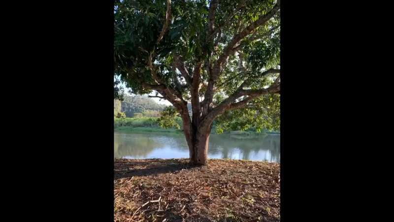 Fazenda à Venda no bairro São Francisco em Valença imagem 54