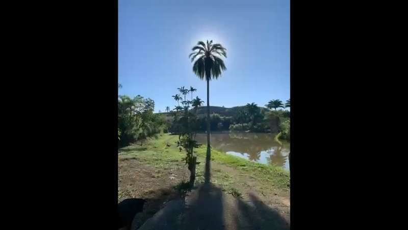 Fazenda à Venda no bairro São Francisco em Valença imagem 88