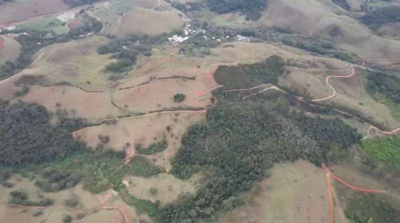 Fazenda à Venda no bairro São Francisco em Valença imagem 37