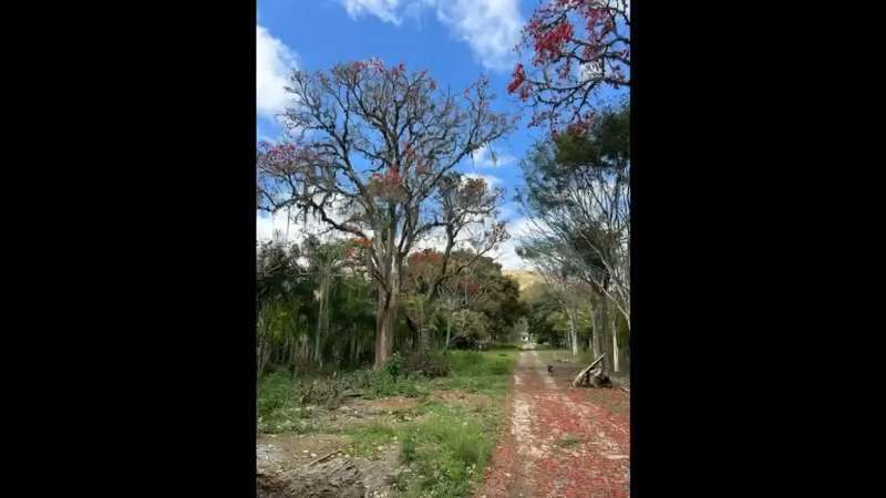 Fazenda à Venda no bairro São Francisco em Valença imagem 76