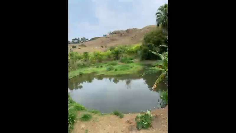 Fazenda à Venda no bairro São Francisco em Valença imagem 80
