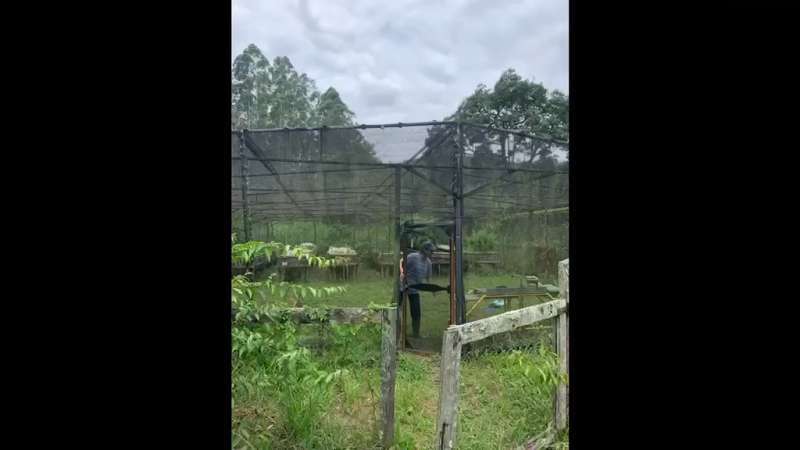 Fazenda à Venda no bairro São Francisco em Valença imagem 78