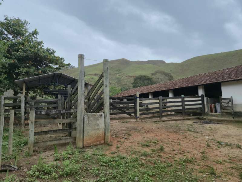 Sítio à Venda no bairro Zona Rural em Rio das Flores imagem 22