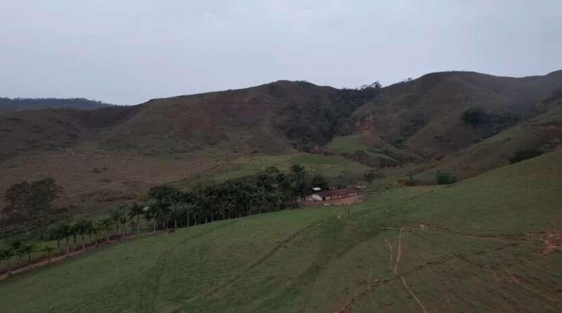 Sítio à Venda no bairro Zona Rural em Rio das Flores imagem 13