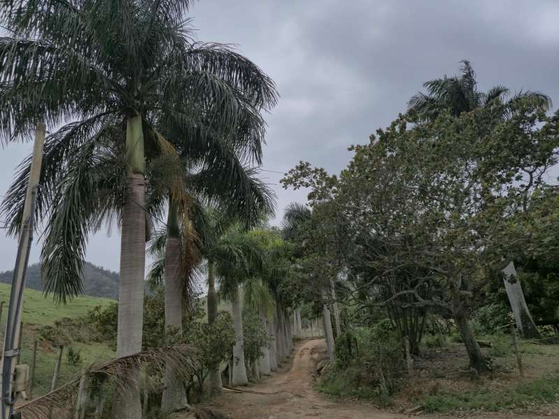 Sítio à Venda no bairro Zona Rural em Rio das Flores imagem 23