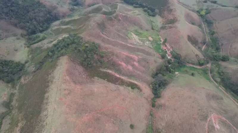Sítio à Venda no bairro Zona Rural em Rio das Flores imagem 8
