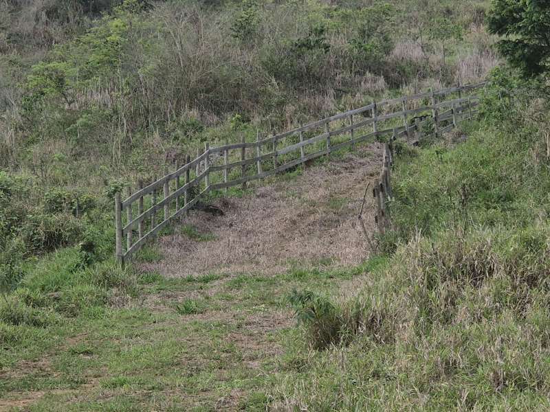 Sítio à Venda no bairro Parapeúna em Valença imagem 22
