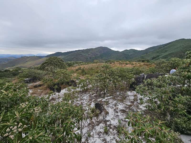 Fazenda à Venda no bairro Zona Rural em Rio Preto imagem 9
