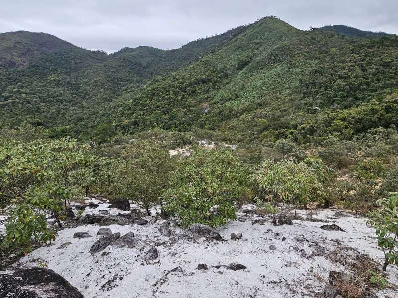 Fazenda à Venda no bairro Zona Rural em Rio Preto imagem 8