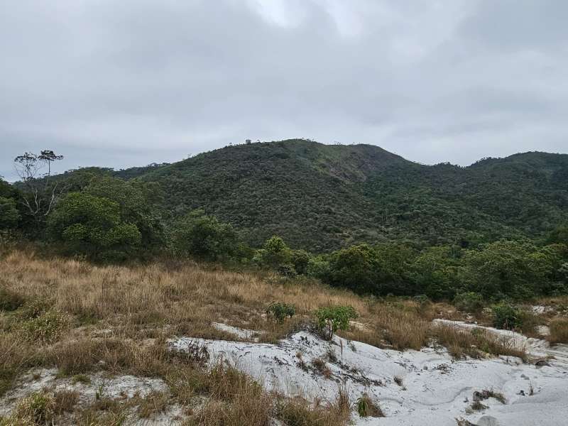 Fazenda à Venda no bairro Zona Rural em Rio Preto imagem 18