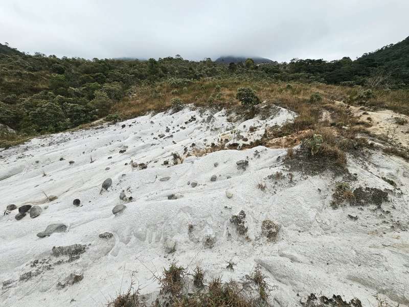 Fazenda à Venda no bairro Zona Rural em Rio Preto imagem 26