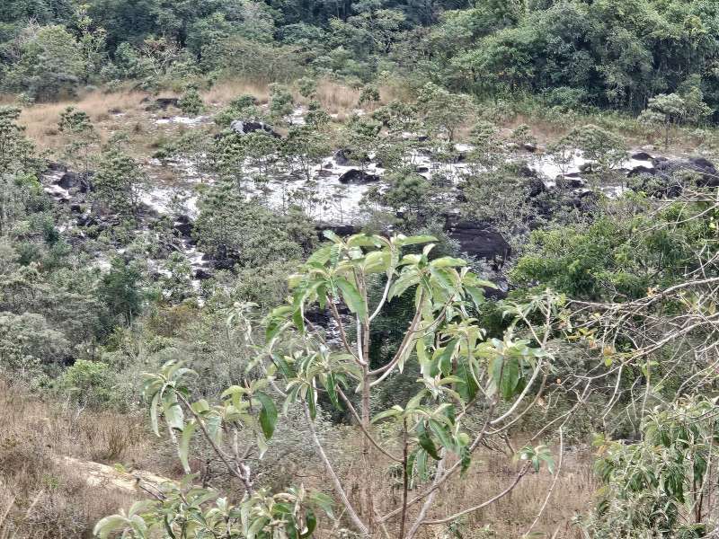 Fazenda à Venda no bairro Zona Rural em Rio Preto imagem 17
