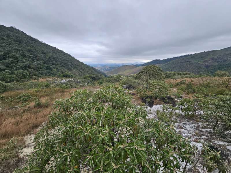 Fazenda à Venda no bairro Zona Rural em Rio Preto imagem 12
