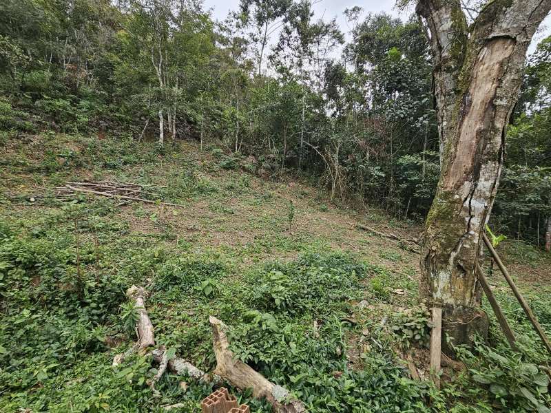 Fazenda à Venda no bairro Zona Rural em Rio Preto imagem 22