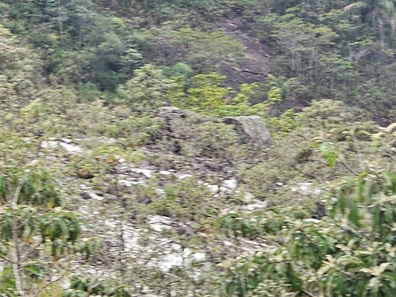 Fazenda à Venda no bairro Zona Rural em Rio Preto imagem 7