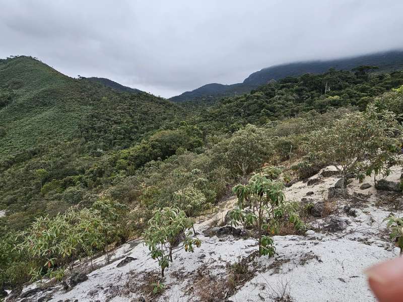 Fazenda à Venda no bairro Zona Rural em Rio Preto imagem 23
