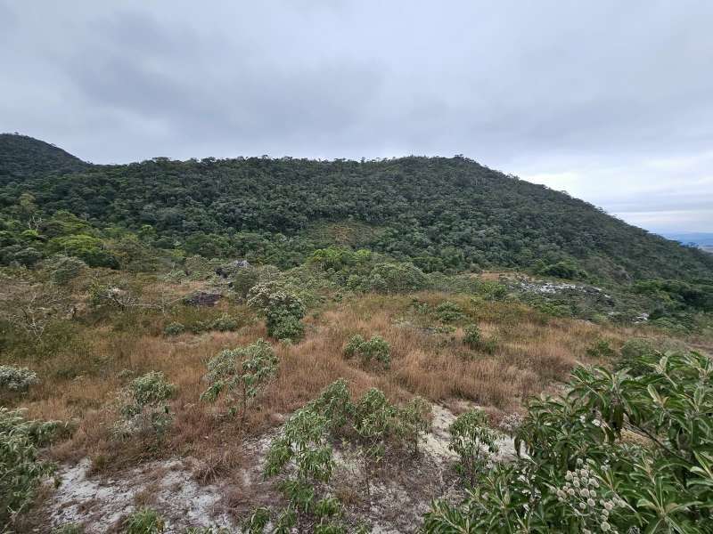 Fazenda à Venda no bairro Zona Rural em Rio Preto imagem 31