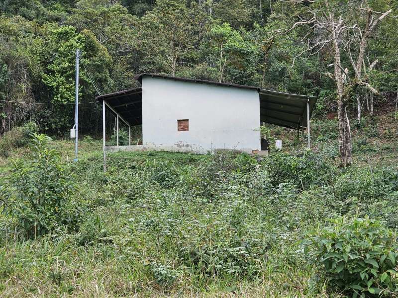 Fazenda à Venda no bairro Zona Rural em Rio Preto imagem 5