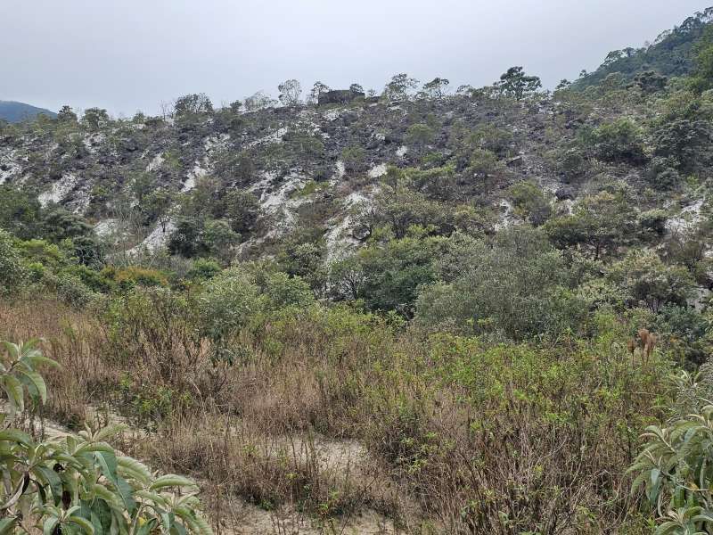 Fazenda à Venda no bairro Zona Rural em Rio Preto imagem 28